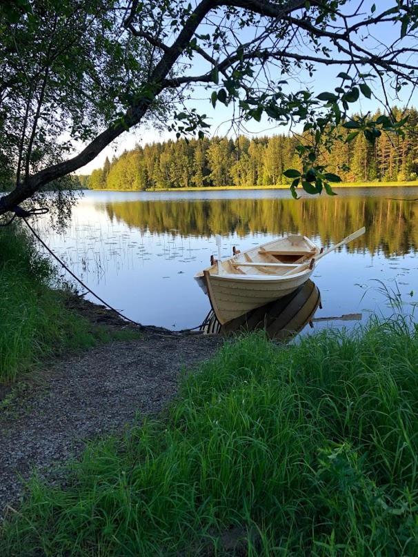 Tretopphytter Pa Grensen - Beverhytta Med Robat Og Gjeddefiske Halden Exterior photo